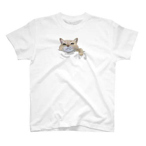 茶トラ猫がお供します Regular Fit T-Shirt