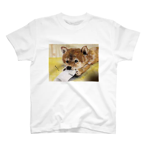 柴犬カミカミ スタンダードTシャツ