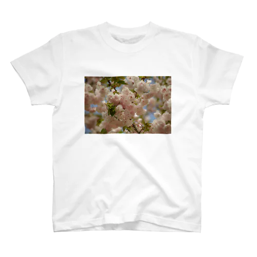 桜 Regular Fit T-Shirt