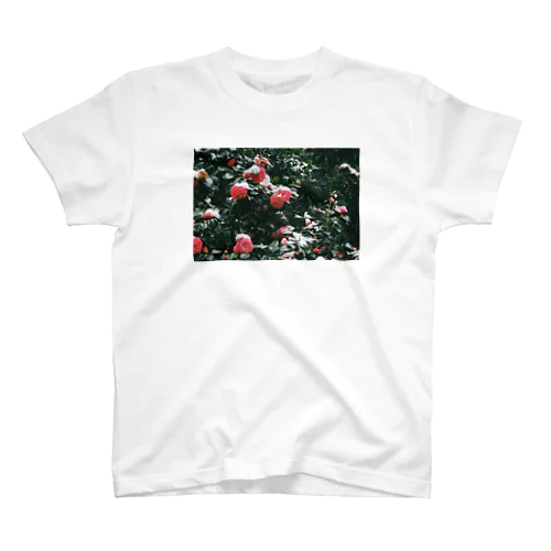 Camellia snow factory スタンダードTシャツ