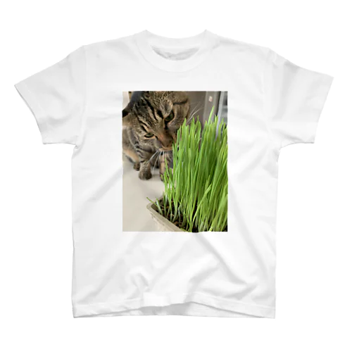 猫草とムギ スタンダードTシャツ