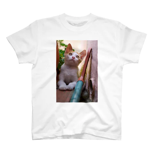 見上げる子猫ちゃん Regular Fit T-Shirt