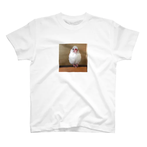 白文鳥のおもちさん スタンダードTシャツ