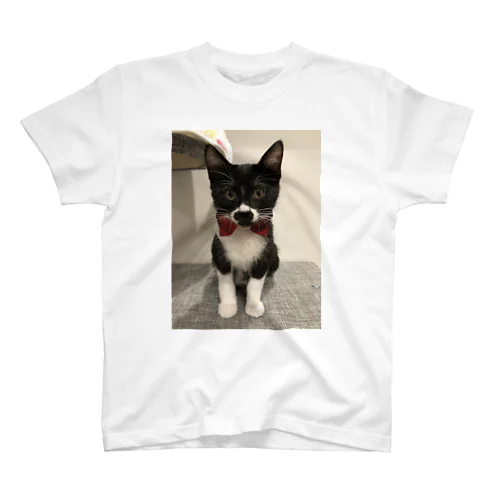 おにぎり猫のハン スタンダードTシャツ