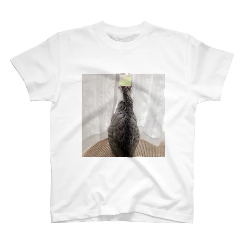 ねこねこ Regular Fit T-Shirt