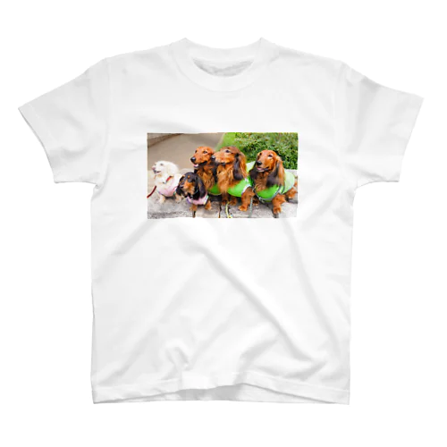 Dachshund friends スタンダードTシャツ