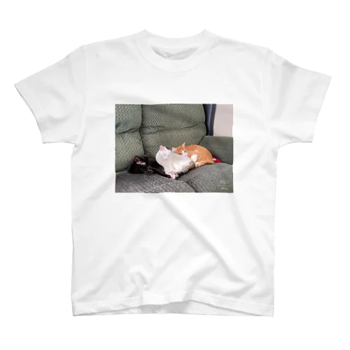 ウチの猫達 Regular Fit T-Shirt