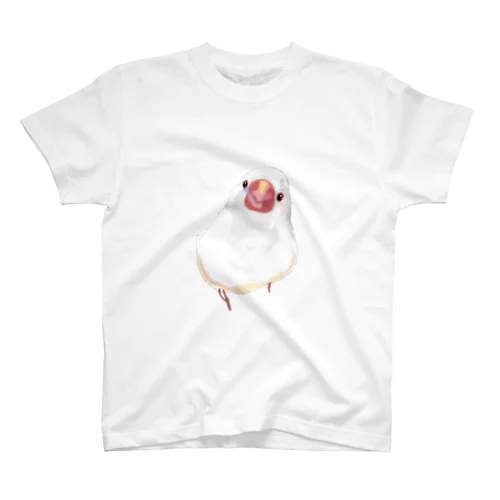 リアルタッチ文鳥 スタンダードTシャツ