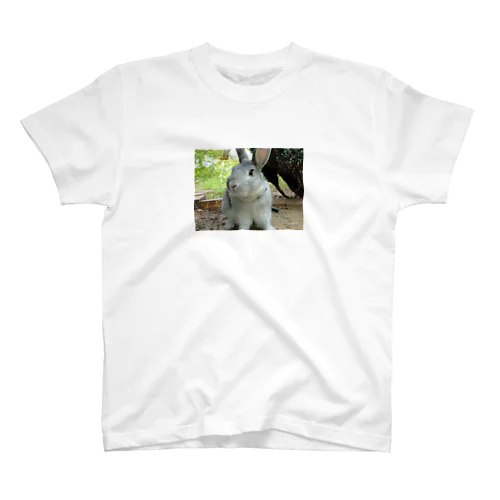 うさぎ　お散歩中 Regular Fit T-Shirt