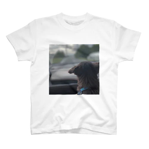 My Pets Regular Fit T-Shirt