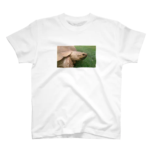 リクガメ Regular Fit T-Shirt