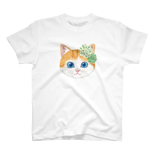 ねこちゃん（多肉植物） スタンダードTシャツ