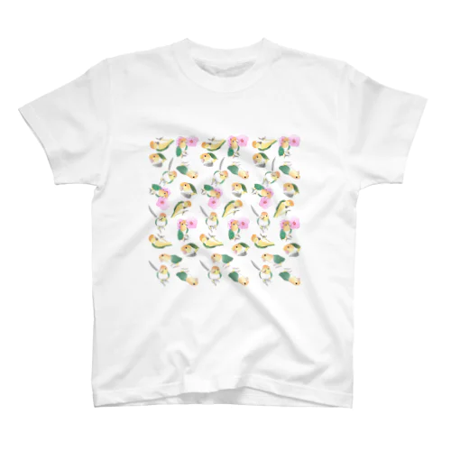 たっぷりシロハラインコちゃん【まめるりはことり】 スタンダードTシャツ