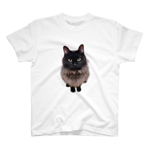 くろ猫まりも 1 Regular Fit T-Shirt