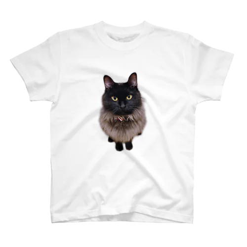 くろ猫まりも 1 スタンダードTシャツ