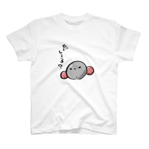 息してる？ スタンダードTシャツ