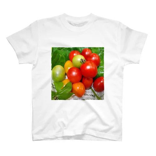 地中海トマト スタンダードTシャツ