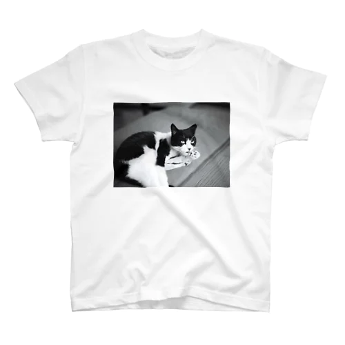 猫CAT Regular Fit T-Shirt