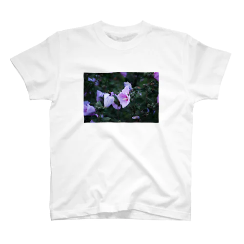 Morning glory  Regular Fit T-Shirt