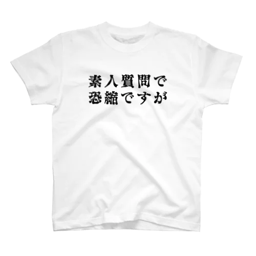 素人質問で恐縮ですが スタンダードTシャツ