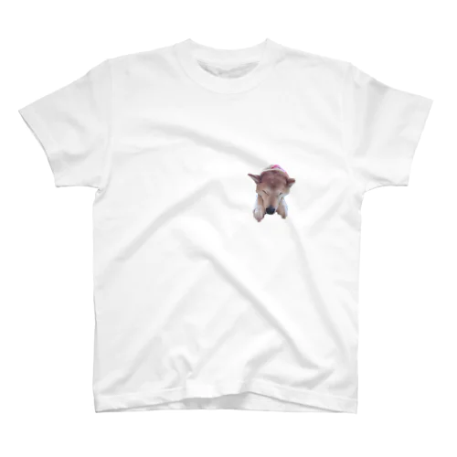 おやすみなこちゃん☽･:* スタンダードTシャツ