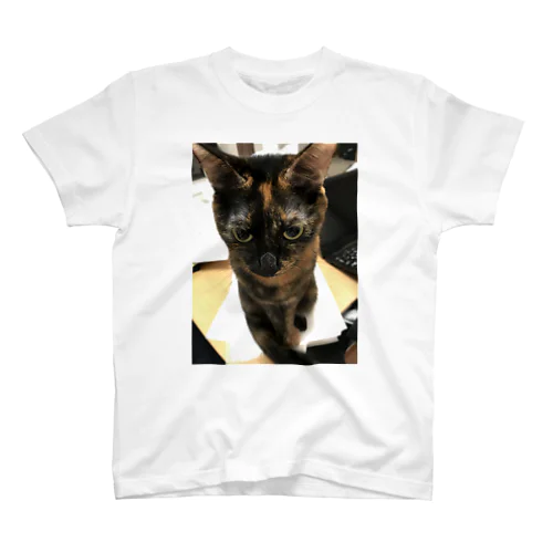 サビ猫タビ スタンダードTシャツ