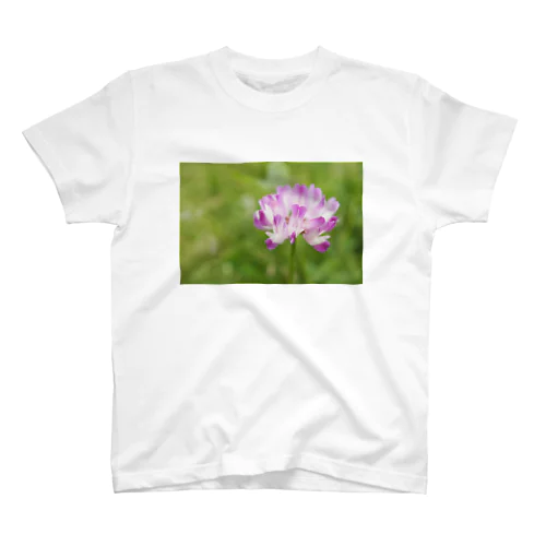 renge Regular Fit T-Shirt