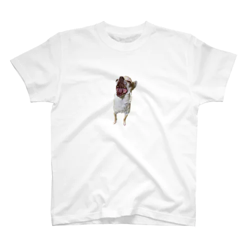 チワワのココちゃん　犬のあくび Regular Fit T-Shirt