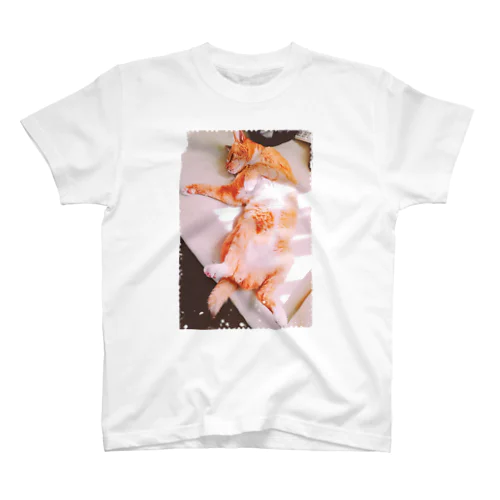 猫「こてつ」仰向けねんね Regular Fit T-Shirt