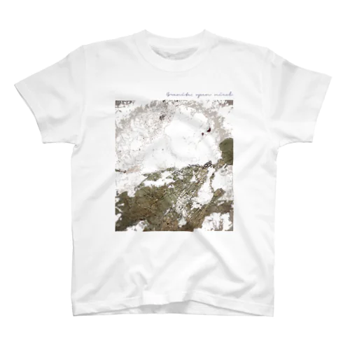 薄片 花崗岩2 オープン Regular Fit T-Shirt