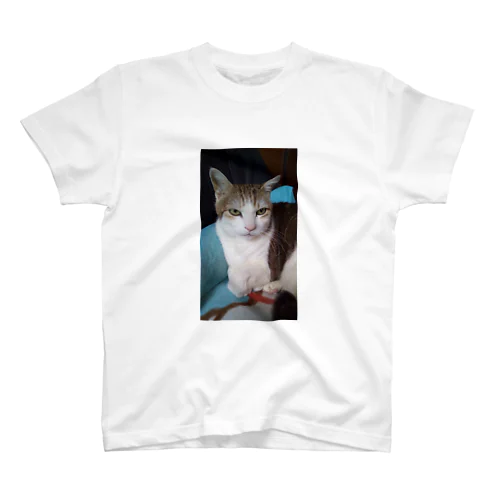 愛猫 Regular Fit T-Shirt