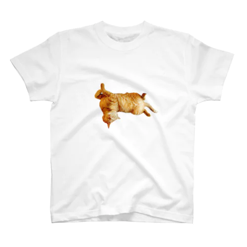 落ちてる猫2 Regular Fit T-Shirt