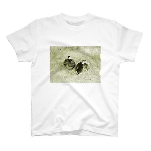 鳥1－taisteal－タシテル－ Regular Fit T-Shirt