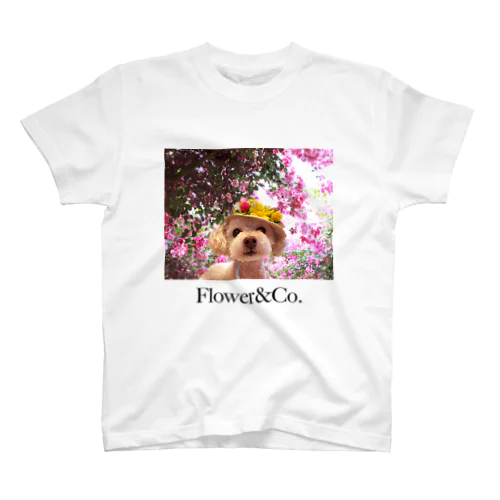 Flower&Co. スタンダードTシャツ