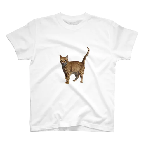 ひとんちの猫Tシャツ（正面） Regular Fit T-Shirt