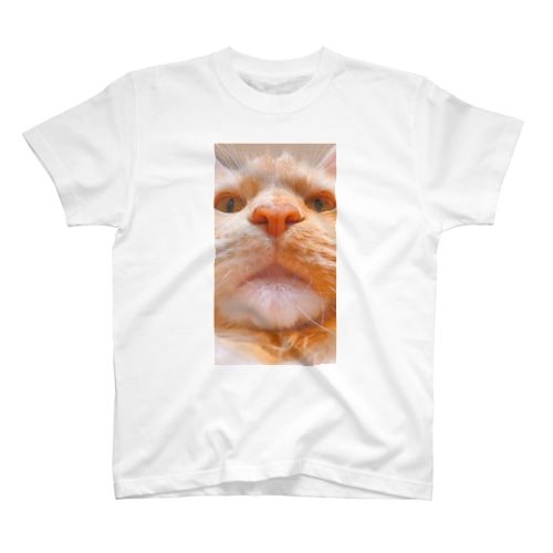 ネコが見つめるＴ Regular Fit T-Shirt