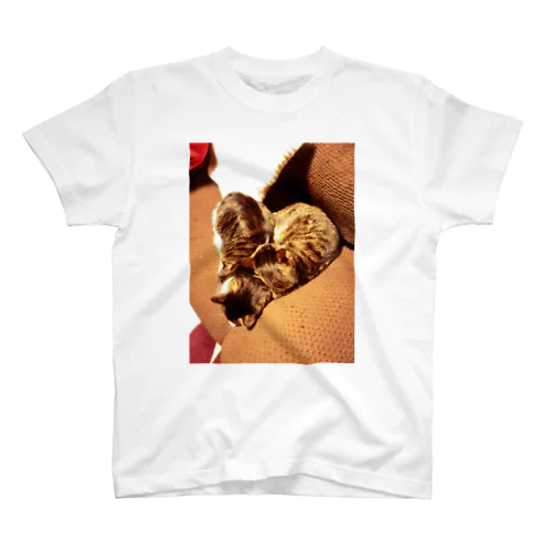 Heart cat スタンダードTシャツ