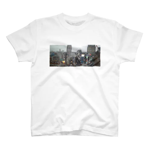 都景色(前面印刷) Regular Fit T-Shirt