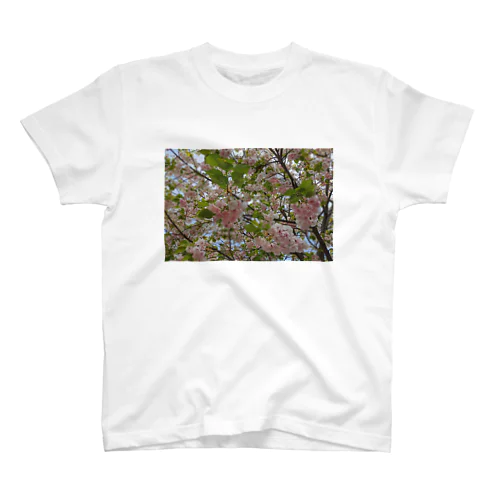 日本の春 桜A Regular Fit T-Shirt