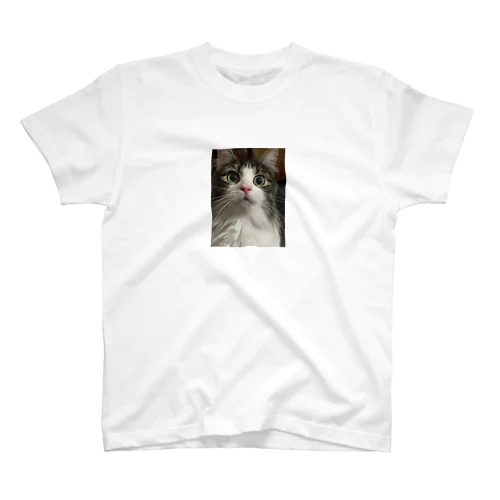 おどろきねこ Regular Fit T-Shirt