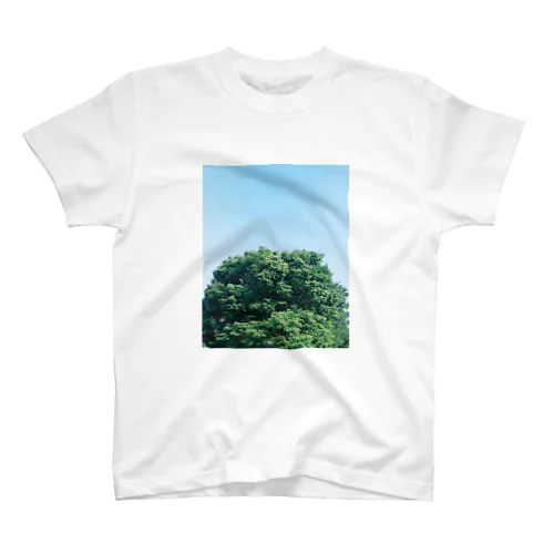 tree on film #1 Regular Fit T-Shirt