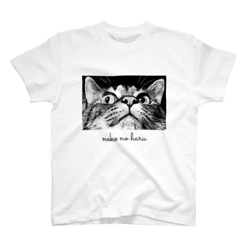 ねこのハル【ロゴ入り】 スタンダードTシャツ