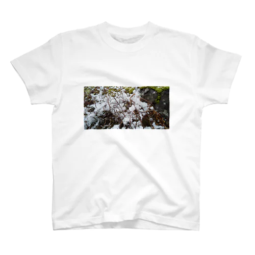 積もる庭 Regular Fit T-Shirt