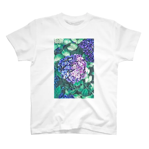紫陽花 スタンダードTシャツ