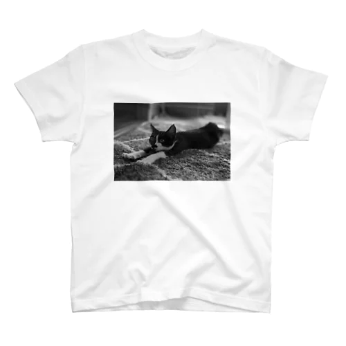 ごまちゃん Regular Fit T-Shirt