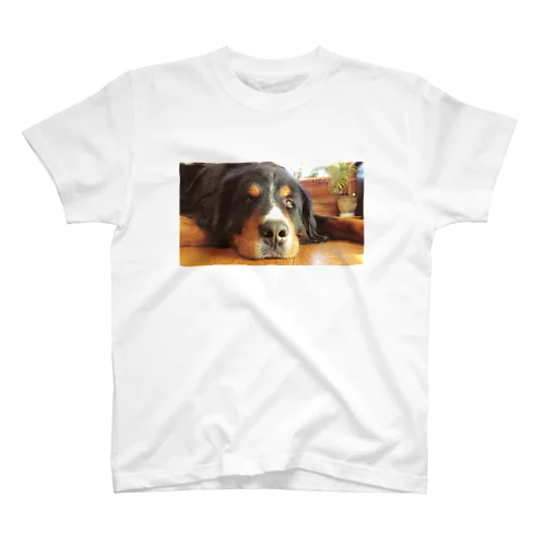 Bernese Mountain Dog 1 Regular Fit T-Shirt