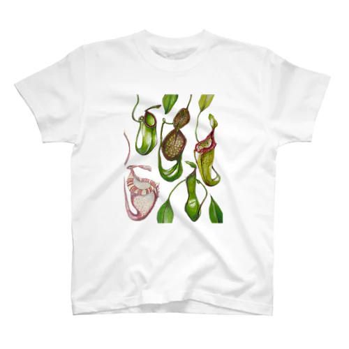 uovo 食虫植物がら スタンダードTシャツ