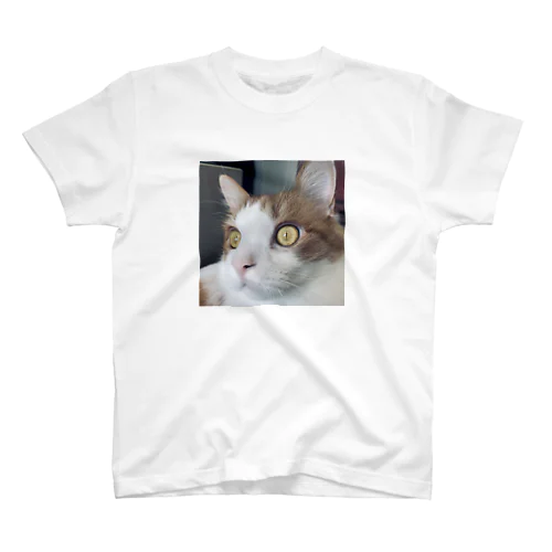 目がこわいねこのレン スタンダードTシャツ