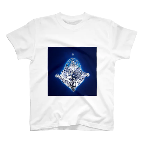 Perception スタンダードTシャツ