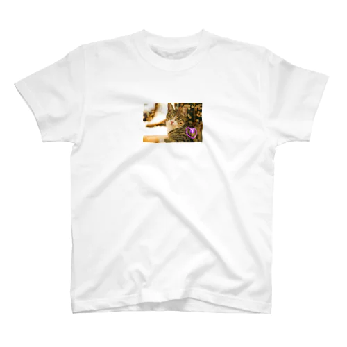 猫ちゃん スタンダードTシャツ